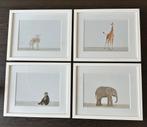 Dieren Foto's in Lijst - Kindkamer Decoratie, Ophalen, Zo goed als nieuw, Foto of Poster, Minder dan 50 cm