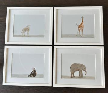 Dieren Foto's in Lijst - Kindkamer Decoratie beschikbaar voor biedingen