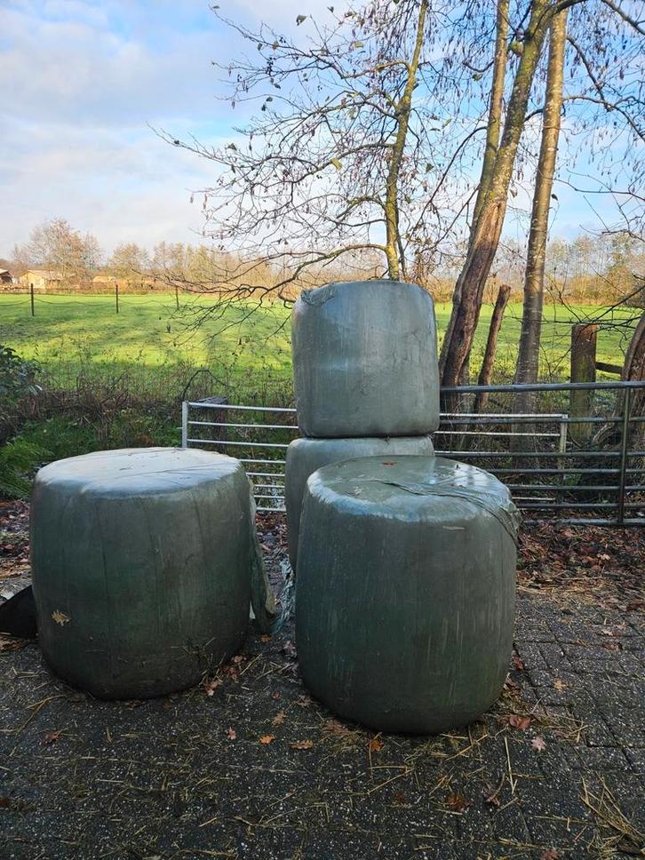 4 x Midi hooibalen 1 snee '24, Dieren en Toebehoren, Dierenvoeding, Vee, Ophalen