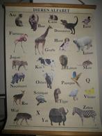 Nieuwe leuke poster van dieren alfabet, Nieuw, Dier of Natuur, Rechthoekig Staand, Ophalen
