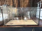 Klein aquarium 60x30x30, Dieren en Toebehoren, Ophalen, Zo goed als nieuw, Leeg aquarium