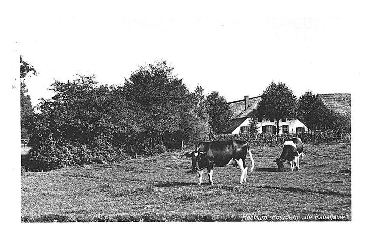 990268 Heelsum 1938 Gld Boerderij De Kabeljauw Gelopen, Verzamelen, Ansichtkaarten | Nederland, Gelopen, Gelderland, 1920 tot 1940