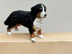 Schleich Berner sennen hond teefje nieuw, Verzamelen, Ophalen of Verzenden, Zo goed als nieuw, Hond of Kat, Beeldje of Figuurtje