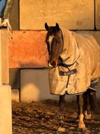 Stal stalling pensionstal kale huur, Dieren en Toebehoren, Stalling, 4 paarden of pony's of meer