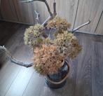 Kunstbloemen berenklauw, Huis en Inrichting, Ophalen of Verzenden, Gebruikt