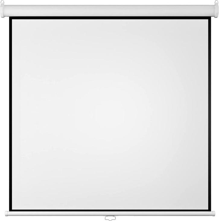 Strex projectiescherm van 220x220CM (100 Inch), Audio, Tv en Foto, Professionele Audio-, Tv- en Video-apparatuur, Zo goed als nieuw