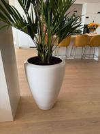 Witte fiberstone pot zgan afmeting 80 hoog, 60 rond, Steen, 40 cm of meer, Rond, Binnen