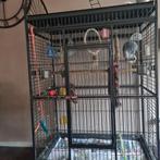 Prachtige grote papegaaienkooi, Ophalen, Zo goed als nieuw, Metaal, Vogelkooi