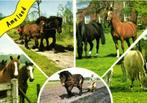 Ameland - 5 afb met paarden - 1976 gelopen, Verzamelen, Ansichtkaarten | Nederland, Gelopen, 1960 tot 1980, Ophalen of Verzenden
