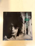 The waterboys a pagan place LP, Ophalen of Verzenden, Gebruikt