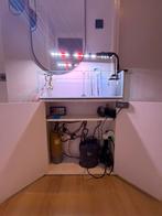 Aquascape shallow. Aquarium 70x30x22, Vis