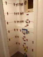 Patrick's klus en schoonmaakdiensten