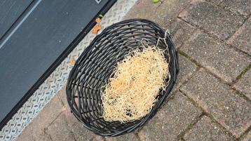 rieten cadeaumand gratis beschikbaar voor biedingen