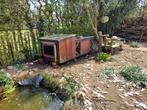 Kuikenhok, Dieren en Toebehoren, Ophalen