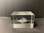 Glazenblokje met schildpad 5,5cmx4cmx4cm, Ophalen