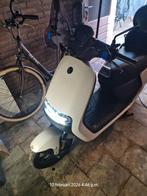 Segway E110S Elektrische Scooter, Fietsen en Brommers, Ophalen, Zo goed als nieuw, Overige typen, Overige merken