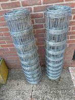 Schapengaas., Tuin en Terras, Gaas en Draad, Ophalen, Nieuw, 20 meter of meer, Gaas