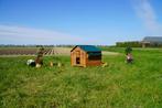 Trespa Kippenhok / Farm Evolution 3XL - Cucciolotta, Ophalen of Verzenden, Nieuw, Kippenhok of Kippenren