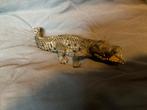 Schleich Krokodil, Ophalen of Verzenden, Zo goed als nieuw