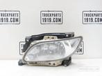 DAF Lighting Mistlamp Li. DAF 106, Ophalen, Gebruikt, DAF, Verlichting