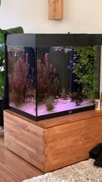 Prachtige Juwel lido 120, Dieren en Toebehoren, Vissen | Aquaria en Toebehoren, Ophalen, Zo goed als nieuw, Gevuld zoetwateraquarium