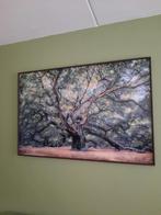 Glazen Schilderij, Huis en Inrichting, Ophalen, Zo goed als nieuw, Schilderij, 100 tot 125 cm