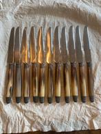 Erg mooie set van 11 fruitmesjes met hoornen heft en zilver, Antiek en Kunst, Ophalen of Verzenden