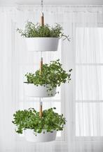 IKEA Bittergurka plantenhanger 3 stuks, Minder dan 30 cm, Minder dan 60 cm, Rond, Ophalen of Verzenden