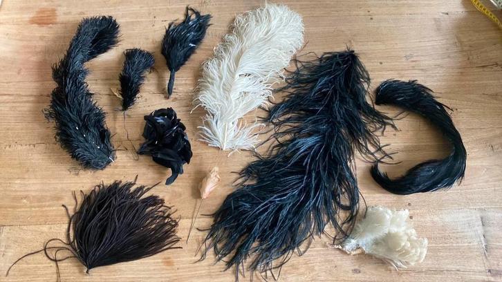 Allerlei antieke hoedenveren accessoires (gereserveerd AN), Antiek en Kunst, Antiek | Kleding en Accessoires, Ophalen of Verzenden