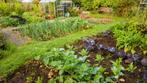 Gezocht: land te koop/ huur, in Haarlem en omstreken, Ophalen of Verzenden