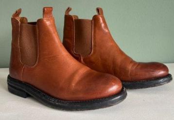 Shabbies  beschikbaar voor biedingen