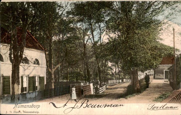 Numansdorp - Torlaan - Laan met bomen, Verzamelen, Ansichtkaarten | Nederland, Gelopen, Zuid-Holland, Voor 1920, Ophalen of Verzenden