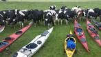 Diverse polyester zeekajaks in komplete uitvoering, Watersport en Boten, Ophalen, Gebruikt, 1-persoons