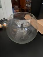 Glazen Vissenkom / Plantenbak, Huis en Inrichting, Ophalen, Gebruikt, Overige kleuren, Glas