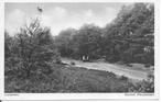 Garderen Ingang Speulderbos., Ophalen of Verzenden, 1940 tot 1960, Gelopen, Gelderland