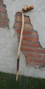 Exclusieve WANDELSTOK met stevige wortelknop handvat ( 10 ), Sport en Fitness, Bergsport en Wandelen, Ophalen of Verzenden, Nieuw