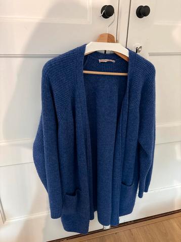 Studio Anneloes Vest Paars - Blauw Maat XL beschikbaar voor biedingen
