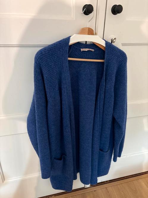 Studio Anneloes Vest Paars - Blauw Maat XL, Kleding | Dames, Truien en Vesten, Zo goed als nieuw, Maat 46/48 (XL) of groter, Paars