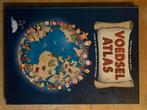 Febe Sillani - Voedselatlas, Febe Sillani; Giulia Malerba, Zo goed als nieuw, Ophalen, Zuid-Amerika