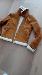 Leren  gevoerd  Zara  jasje  ( nieuw)  maat S, Kleding | Dames, Bruin, Zara, Nieuw, Ophalen of Verzenden