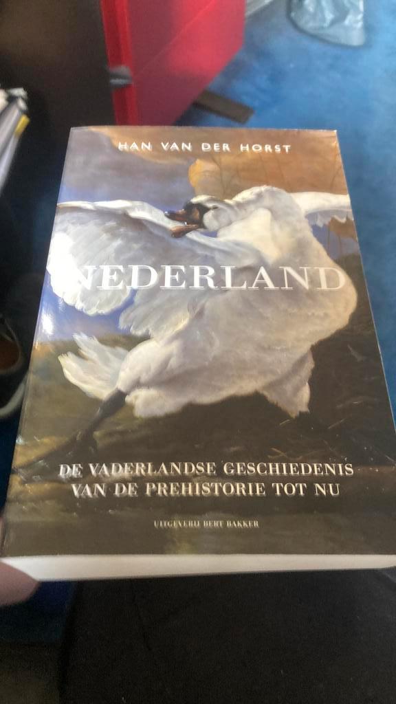 Han van der Horst - Nederland, Boeken, Geschiedenis | Vaderland, Zo goed als nieuw, Ophalen of Verzenden