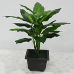 Kunst Evergreen Plant / Blad Sier Nep Plant Tuin Kunstplant, Verzenden, Nieuw