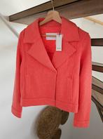 Opus blazer koraal maat 36 nieuw roze jasje vest, Kleding | Dames, Jasjes, Kostuums en Pakken, Nieuw, Ophalen of Verzenden, Jasje