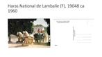 Haras National de Lamballe (F), 19048 ca 1960, Ophalen of Verzenden, 1960 tot 1980, Ongelopen, Overige thema's