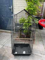 Vogelkooi, Ophalen, Zo goed als nieuw, Vogelkooi