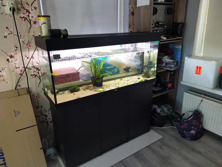 Juwel Rio 240 met onderkast, Dieren en Toebehoren, Vissen | Aquaria en Toebehoren, Gebruikt, Leeg aquarium, Ophalen