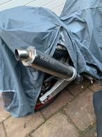 Vampire demper, Ophalen of Verzenden