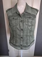 Bodywarmer Dreamstar  Kleur : Groen Maat : L NIEUW, Kleding | Dames, Bodywarmers, Dreamstar, Maat 42/44 (L), Nieuw, Ophalen of Verzenden