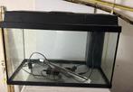 Juwel aquarium 60l met toebehoren, Vis
