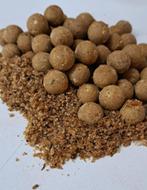 Monster Insect boilies, Ophalen of Verzenden, Nieuw, Overige typen